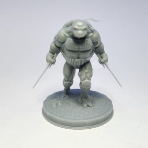 TMNT-RAPH