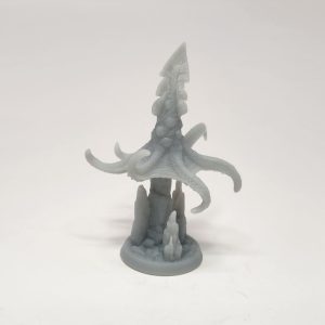 Squid
